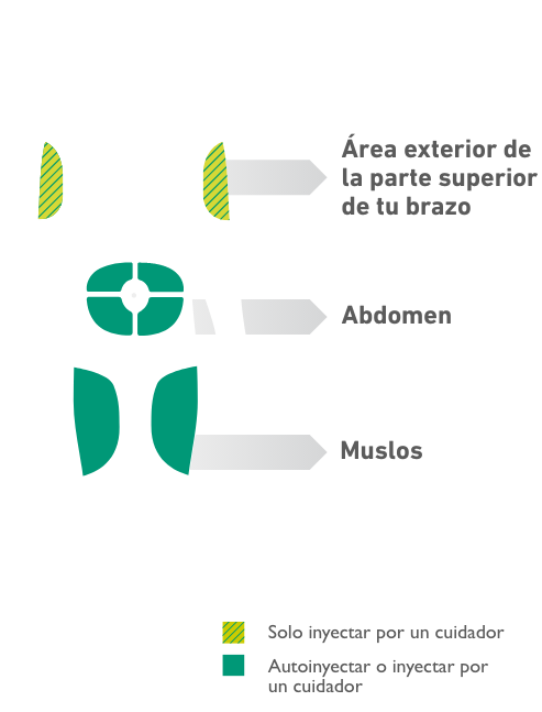 Diagrama del cuerpo humano con los sitios de administración de Dupixent® (dupilumab)